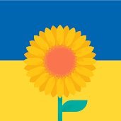 yelowmelonjames's profile picture. Developer, digital nomad