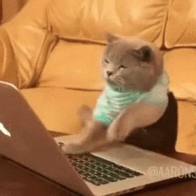 lorrain_andrews's profile picture. 