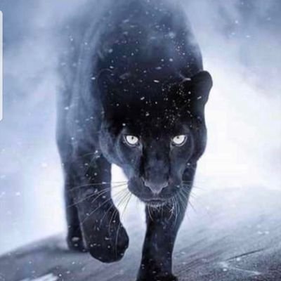 _mrhastings's profile picture. Stay at home hurstler