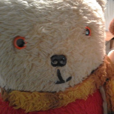 @rupert-t-bear.bsky.social
#RejoinEU #SaveOurNHS
Celebrity bear.
Rejoiner.
RNLI supporter.
Eclectic music nut.
Cycling fan.
Ex-Slade School