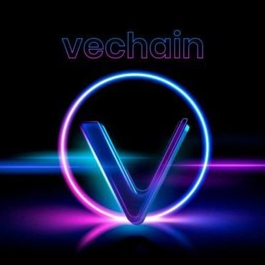 ֍Crypto  ֍Motorcycle lover  #NFT #Vefam #VeChain $WOO