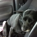 Jodi Vargo - @HodiBubba12 - Twitter