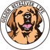 Golden Retriever Life (@elliegoldenlife) Twitter profile photo Golden Retriever Life (@elliegoldenlife) Twitter profile photo