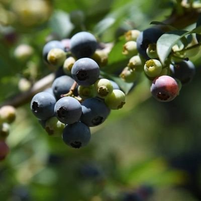 NudpCFuJf4xlEa7's profile picture. 