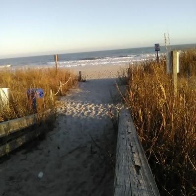 Nanakim611's profile picture. 🌻🌈 🇺🇦 🌊 
No DM'S please ♥ 
No LIST'S please ♥ 
Thank you