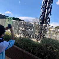 たこなす (@itf_tako) 's Twitter Profile