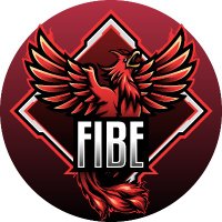 Firebird eSport(@FiBEhun) 's Twitter Profile Photo