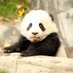 Phoebe xu (@phoebex99) Twitter profile photo Phoebe xu (@phoebex99) Twitter profile photo