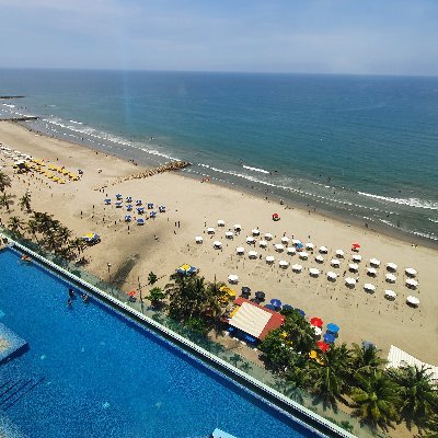 Leo_morphosys's profile picture. Dios y Familia, Empresario y Arquitecto en busca de un mejor futuro para mi hija.