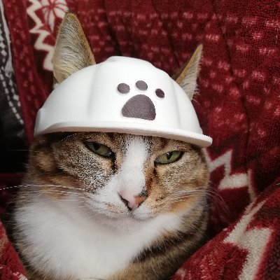 teamHALUさんのプロフィール画像