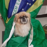 Juliana Ribeiro (@juliana36639026) 's Twitter Profile Photo Juliana Ribeiro (@juliana36639026) 's Twitter Profile Photo