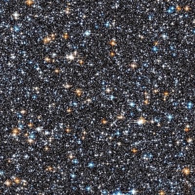 shimmertraps_'s profile picture. 