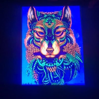 Kyng_Bless215's profile picture. I honestly just love fucking