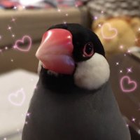ใใใใ๐ (@r_vi_f_sumeragi) 's Twitter Profile