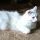 Nicholas Swift - @Swifticle - Twitter