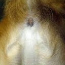 Troy Dowling - @kingtr0yx - Twitter