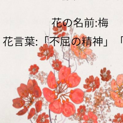 Taka__Ume's profile picture. 前高ラグビー部/群大医ラグビー部/整形外科ラグビー部