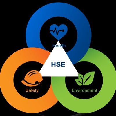 HSE professional