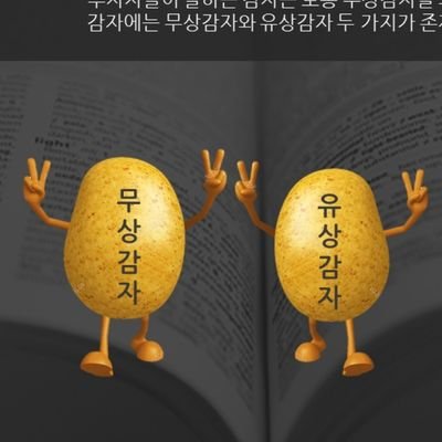 아말감🥔 Profile