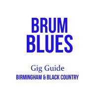 Brum Blues(@BrumBluesGigs) 's Twitter Profile Photo