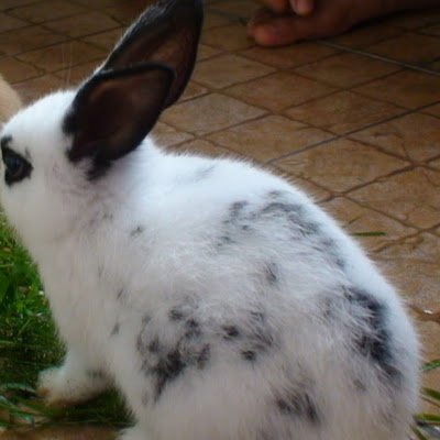 wang_andyanto's profile picture. Being happy at any age