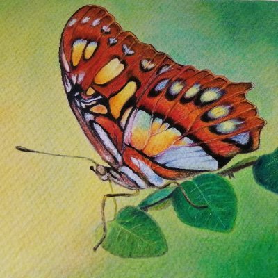 sorayyaasemani's profile picture. 