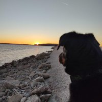 Jas (@jas23592517) 's Twitter Profile Photo Jas (@jas23592517) 's Twitter Profile Photo