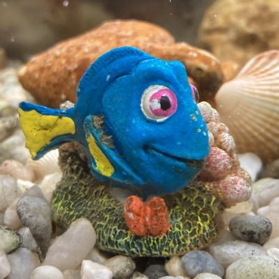 HastalaF's profile picture. 🙋🏻‍♀️ 40🏃🏻‍♂️48 y 👧🏻 10, infertilidad 👔 yo hipHashimoto 2018 2abortos de 6S y 1 ectópico. 2a FIV 24/3/23 bioquímico😔, 2a transfe ➕ 👶🏻 11/1/24