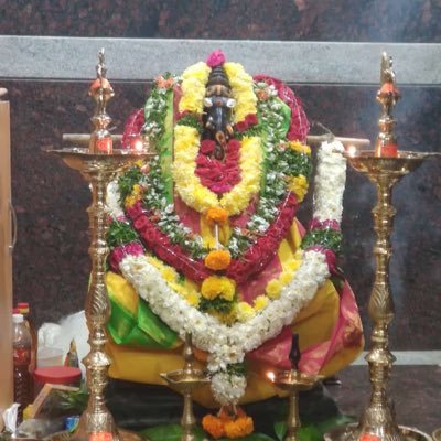 VVireshKaduluri's profile picture. 