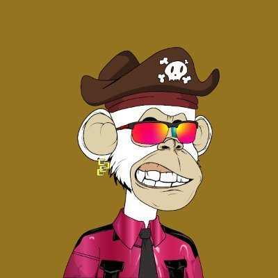 PunkZavalab's profile picture. NFT Prince | Community Builder | #Promoter #Shiller #NFTCollector