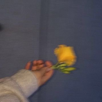 __meo3o8's profile picture. ほぼ就活愚痴アカウントになってまふ( ߹ㅁ߹) ᒡᑉᒡᑉᐧᐧᐧ