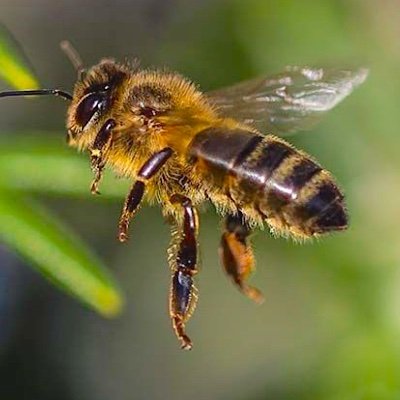 E36688599Nelson's profile picture. Soy curioso. Disfruto de la música,  pintura y fotografía.