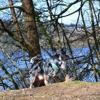 laurenreids_art's profile picture. 