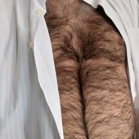 F.F (@fidodidoo54) 's Twitter Profile