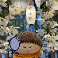 めけ (@tiyopu64) Twitter profile photo