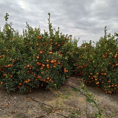 mareyelnagعمل بشباب الخريجين بعدذلكarدرس فى المعهدالمعمارى بالمطرية سنة 1983🌹🌹🌹