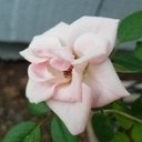 Gavin Jeffries - @GavinJeffries12 - Twitter