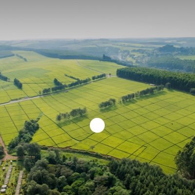 MichaelKipkem13's profile picture. law forever....luxury in it and a mercedes