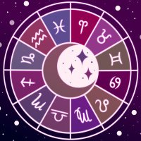 Midnight Oracle - Complete! ๐ซ (@midnightoraclep) 's Twitter Profile