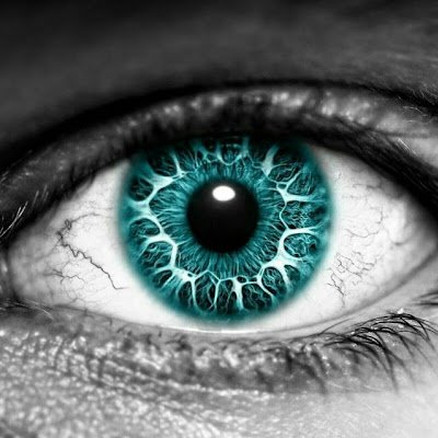 Cbn_tw's profile picture. 502009