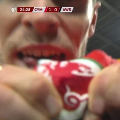 japanish's profile picture. 🏴󠁧󠁢󠁷󠁬󠁳󠁿🦢