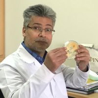 Naser Safaie (@safaienaser) 's Twitter Profile
