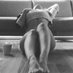 Helmut Boden (@klamunka) Twitter profile photo Helmut Boden (@klamunka) Twitter profile photo