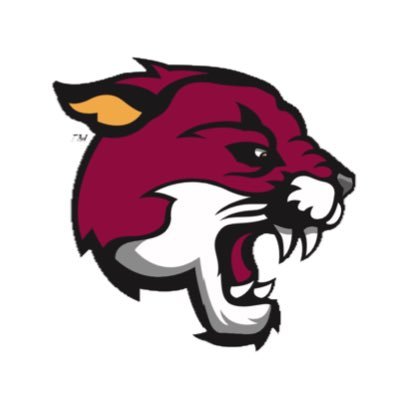 Lehigh Carbon CC Baseball Profile