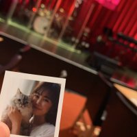 まいん (@m_pr33) 's Twitter Profile