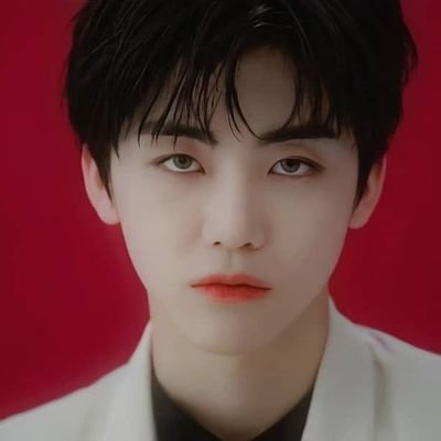 Love Red Velvet, NCT, and You