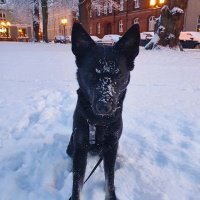 Lothrond (@lothrond) 's Twitter Profile