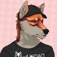 cryptoMarcel (@cryptoxmarcel) 's Twitter Profile