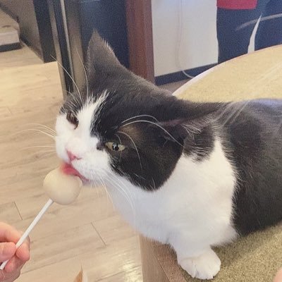 mako38440512's profile picture. 昭和音大ミュージカル(14)