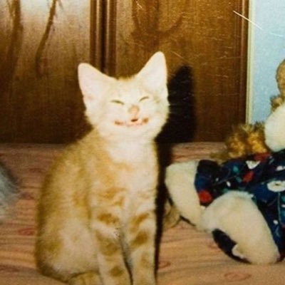 YaVixky's profile picture. 